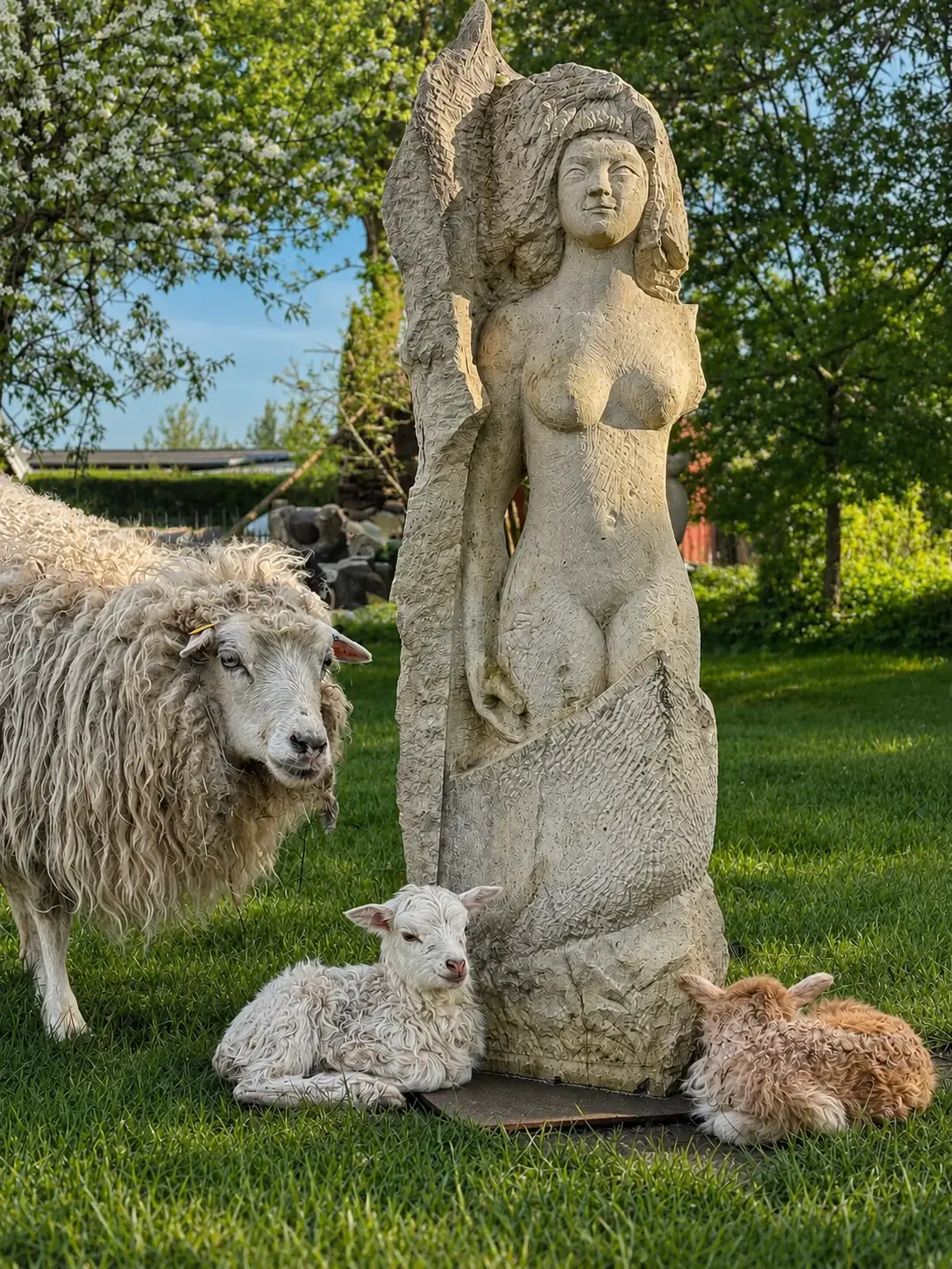Steinskulptur einer Frauenfigur im Garten, daneben ruhen Schafe und Lämmer