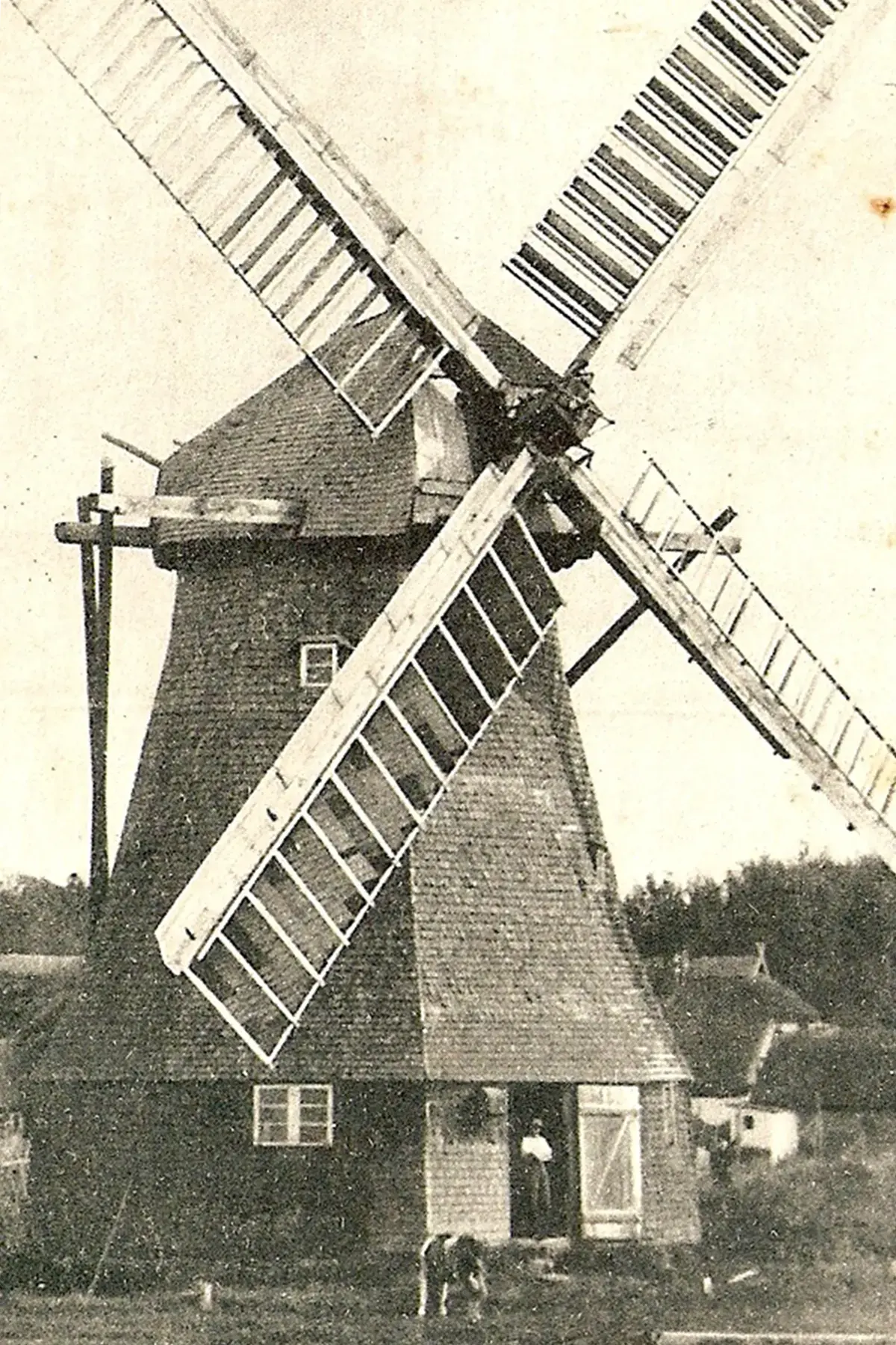 Historische Aufnahme der alten Windmühle von Ahrenshoop mit vollen Flügeln